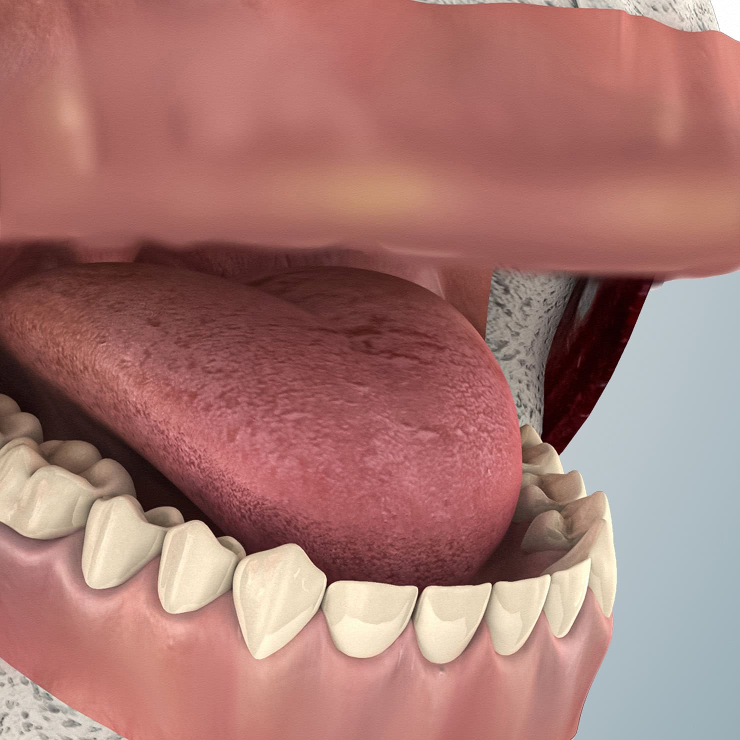 procedure